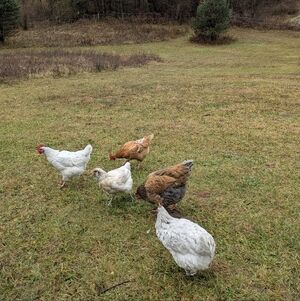 Meet your Posher, April